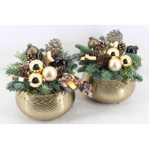 arr5 Kerst MB - Zink gold pot LED 285/6