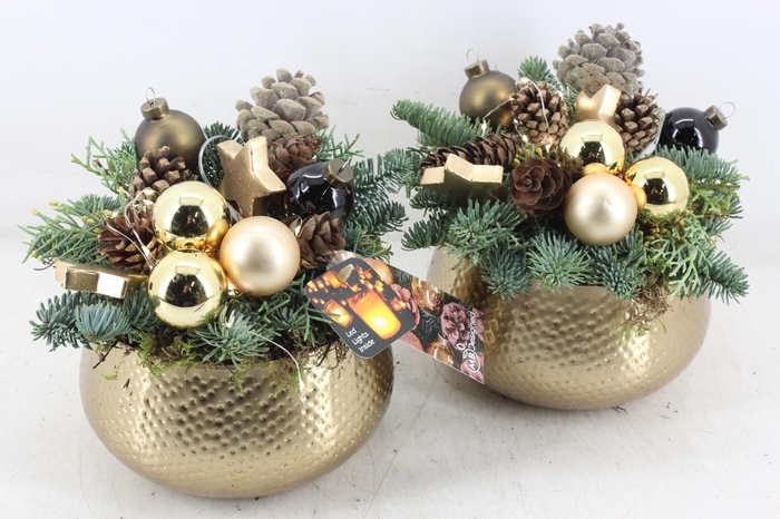 <h4>arr5 Kerst MB - Zink gold pot LED 285/6</h4>