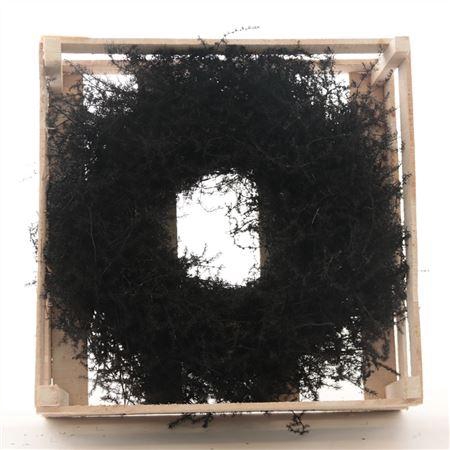 <h4>Krans Asparagus Wax Zwart</h4>