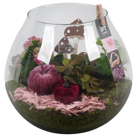 <h4>PTHG3380 Arrangementen kamerplanten</h4>