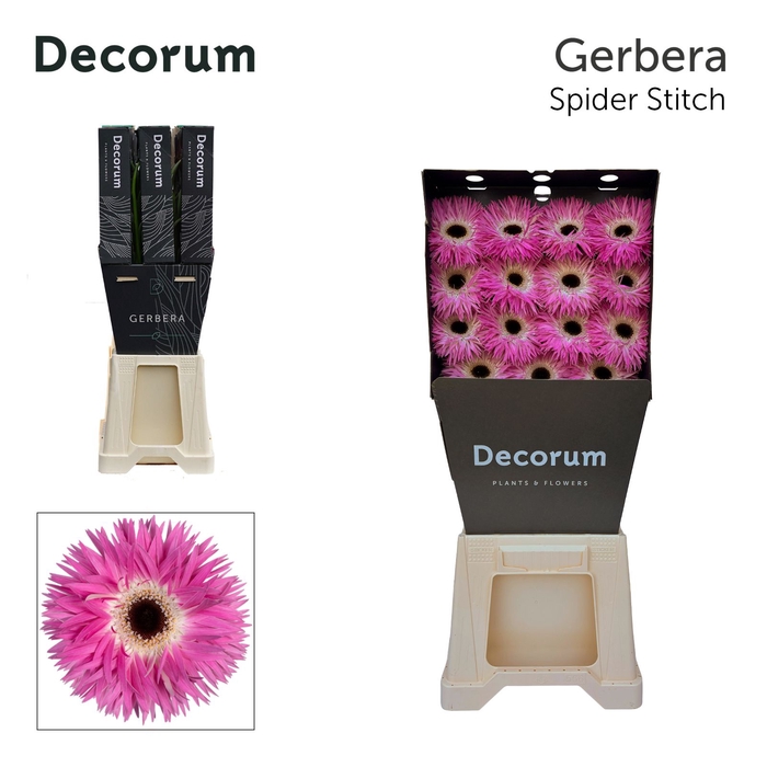 <h4>Gerbera Spider Stitch Diamond</h4>