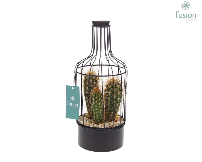 <h4>Metaal fles zwart Small met Cactussen</h4>