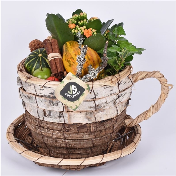 <h4>Arrangementen Sierfruit</h4>