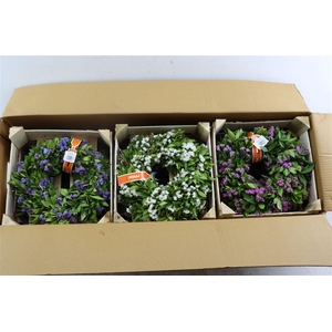 Wr Limonium Mixed Fresh Colors 30cm
