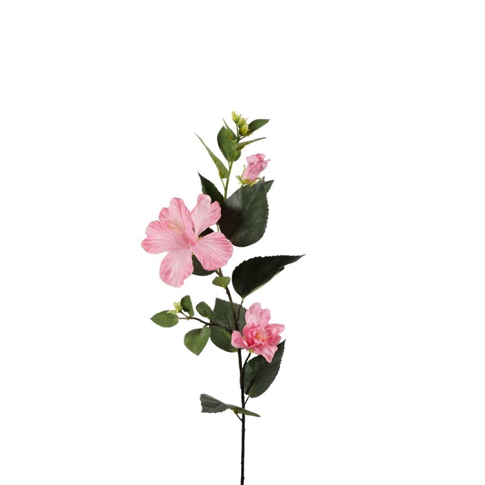 <h4>Hibiscus 81cm</h4>