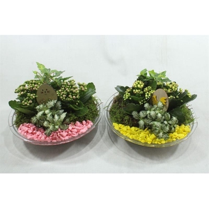 3048 GLAS 28CM  ROZE/GEEL