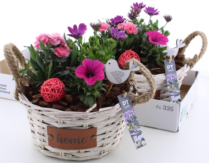 <h4>ARR TUINPLANTEN</h4>