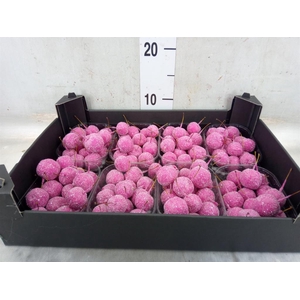 Decoratieve materialen   ...H%