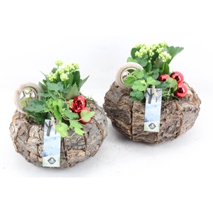 arr2 JS - Schors bolpot 338/3