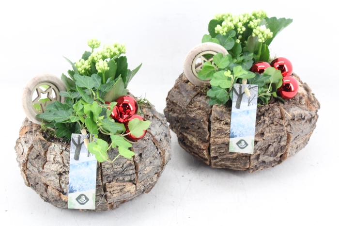 <h4>arr2 JS - Schors bolpot 338/3</h4>