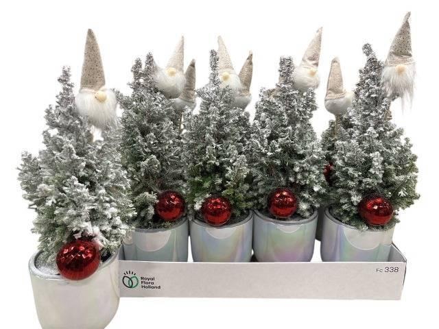 <h4>KERSTBOOM VERSIERD</h4>