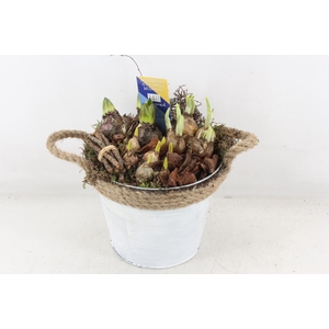 arr4 Bollenmix MB - Zink ton touw x3