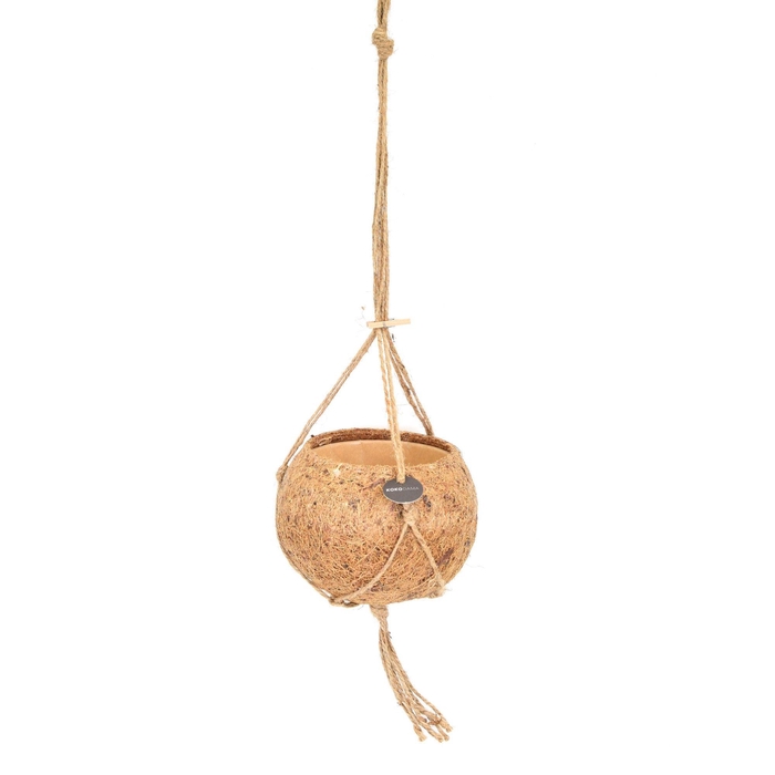 <h4>POTTEN VERSIERD H%</h4>