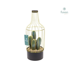 Metaal fles goudzwart Medium met Cactus