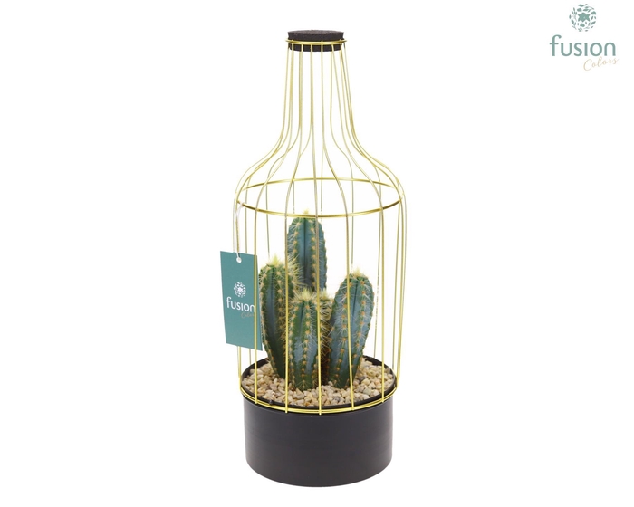 <h4>Fles metaal goudzwart Medium met Cactus</h4>
