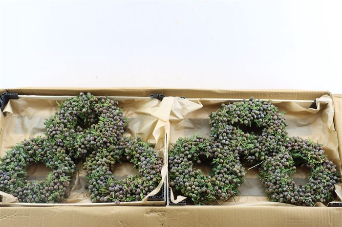 <h4>Wr Sierfruit Juniperus Red 20cm</h4>