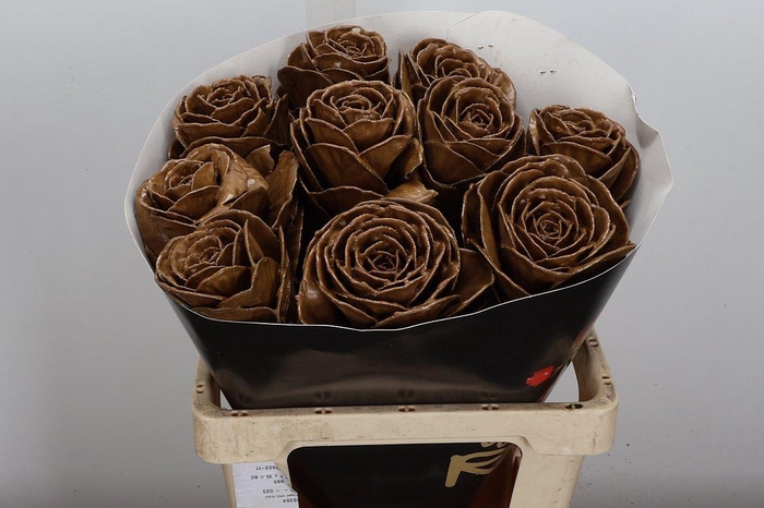 <h4>Brassica Wx (ex) Caramel</h4>