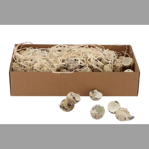 Egg Quail Shells Natural P/box