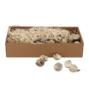 Egg Quail Shells Natural Per Box