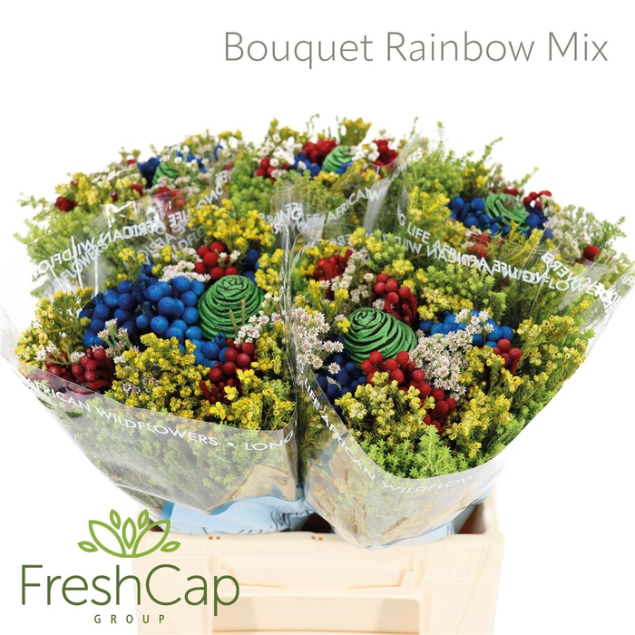 <h4>Bouquet Rainbow Mix</h4>