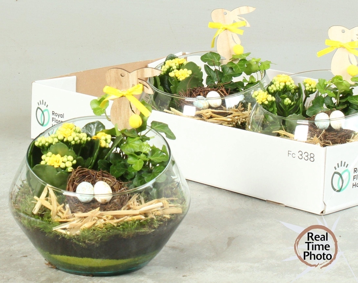 <h4>ARR KAMERPL</h4>