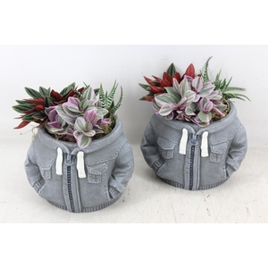 arr3 SN - Ker. spijkerjas