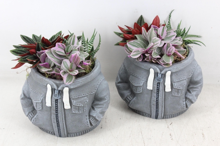 <h4>arr3 SN - Ker. spijkerjas</h4>