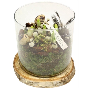 8424 GLAS OP SCHIJF TETE