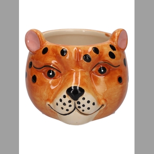 DF03-666650204 - Pot Tiger 10x9.2x7.4 brown