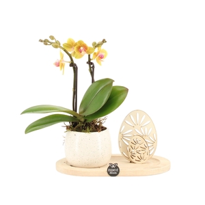 70813: Easter arrangement