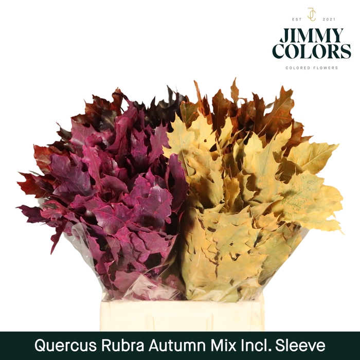 <h4>Quercus Rubra Sleeve L60 Herfst Mix</h4>