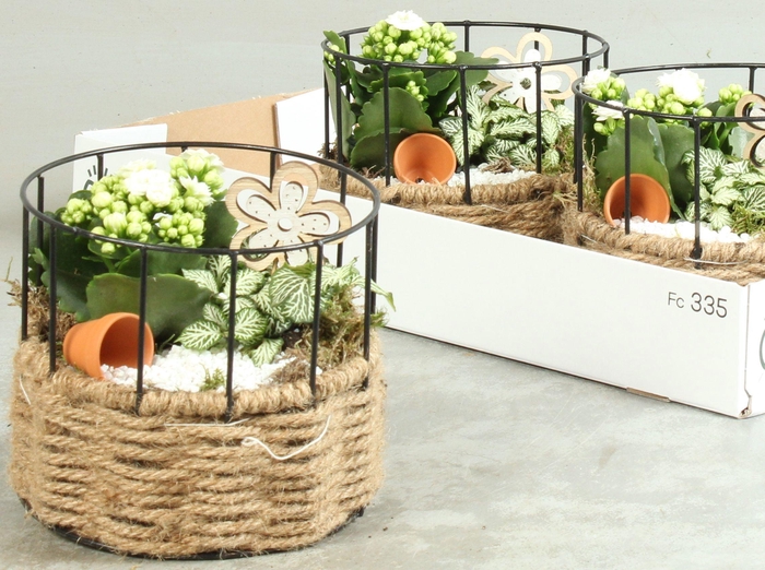 <h4>ARR KAMERPL</h4>