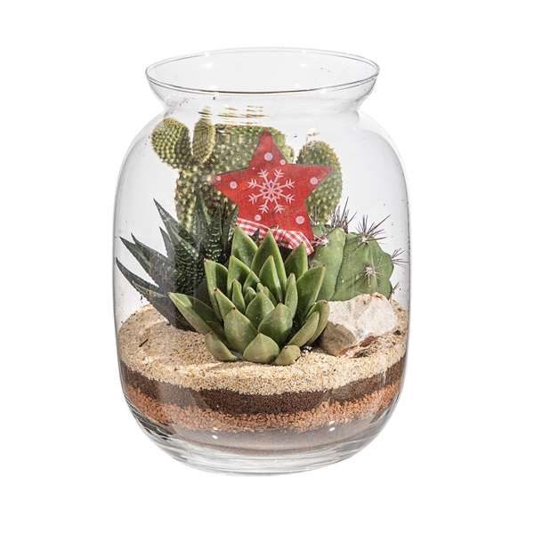 <h4>COMPOSITION CACTUS AND SUCCULENTS IN GLASS TERRARIUM Ø17H22 WITH CHRISTMAS DECORATION- CARDBOARD BOX 18X18CM</h4>