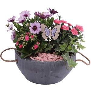Spring Flower Arr. Outdoor Ceramic Pot with Rope Handle Ø24cm 4P