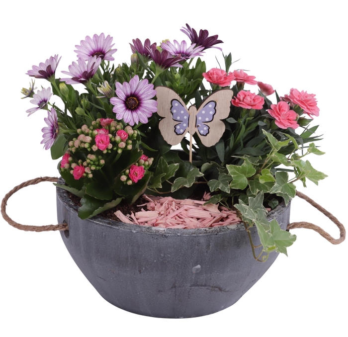 <h4>Spring Flower Arr. Outdoor Ceramic Pot with Rope Handle Ø24cm 4P</h4>