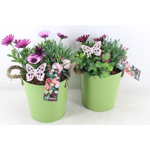 arr4 Outdoor MB - Zink emmer touw green