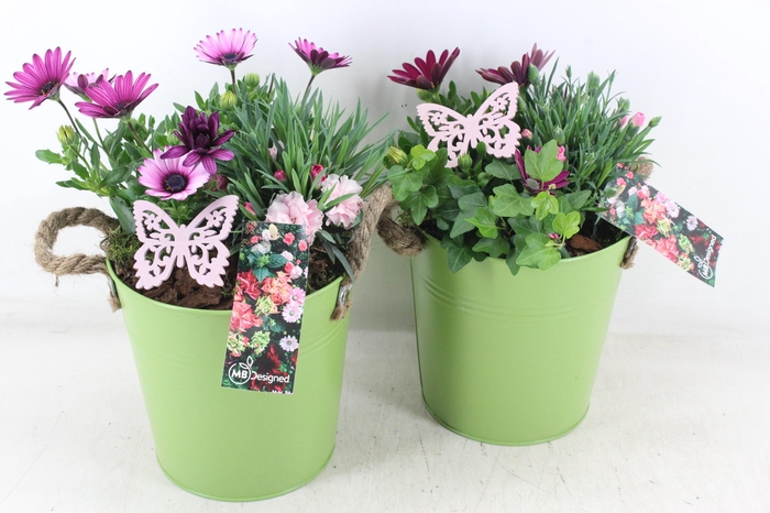 <h4>arr4 Outdoor MB - Zink emmer touw green</h4>