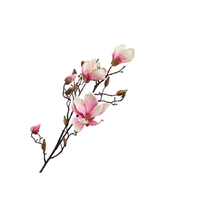 Magnolia Pink