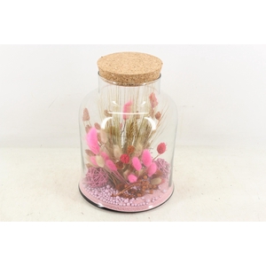 arr2 Droogbl. MB - Glas venice Pink 285/5