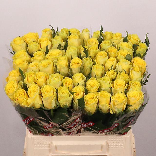 <h4>R GR GOOD TIMES</h4>