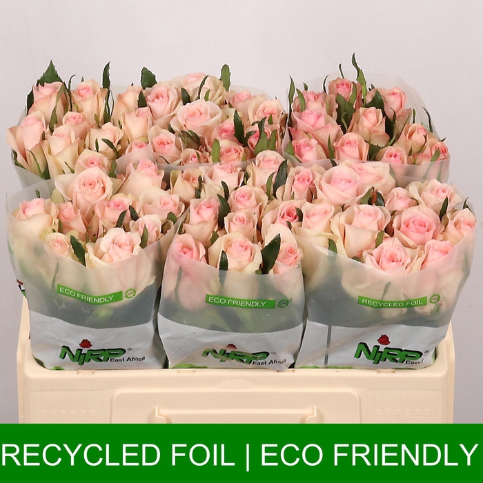 <h4>R GR PRETTY FASHION</h4>