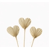 Dried Palm Heart 10pcs Naturel Bunch