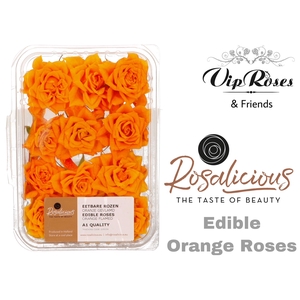 Zs R Edible Rosalicious Orange