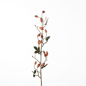 AF Rosehip Zaffiro Sp L84cm Or