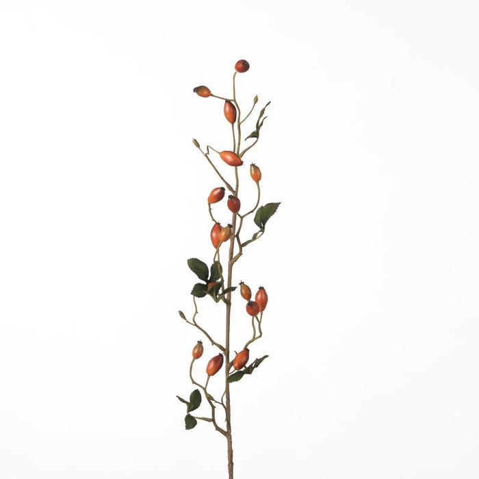 <h4>AF Rosehip Zaffiro Sp L84cm Or</h4>