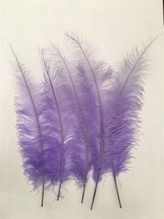 Feathers Ostrich 5 Pcs Lilac