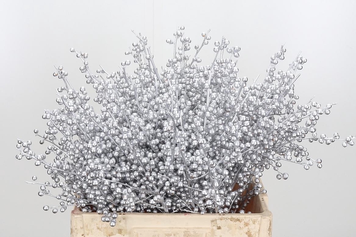 <h4>Ilex Kl Bh Zilver</h4>