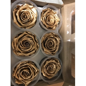 Rose XL Metal goud