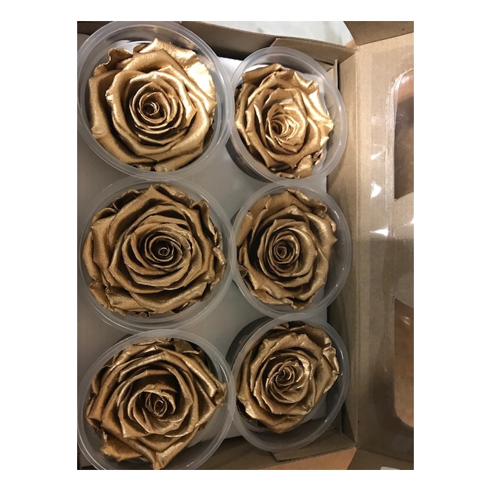 <h4>Roos XL Metal goud</h4>