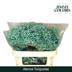 Gyps Xlence L70 Turquoise